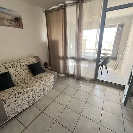 Centre Port Pour 4 Avec Parking Et Animaux Admis - Fr-1-749-92 Apartment Agde