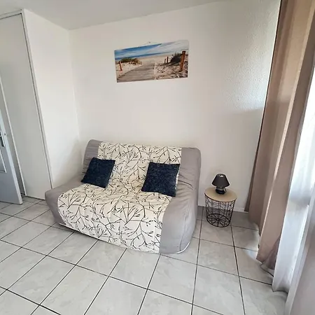 Apartment Centre Port Pour 4 Avec Parking Et Animaux Admis - Fr-1-749-92